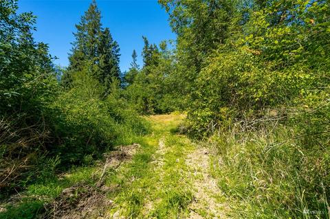 113 Beck Rd #4, Onalaska, WA 98570 photo 12
