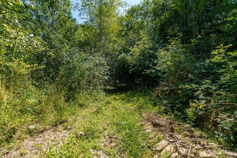 113 Beck Rd #4, Onalaska, WA 98570 photo 4