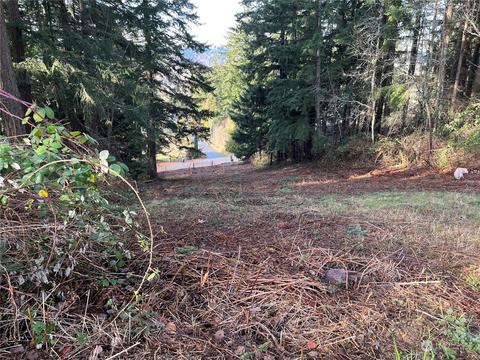 2417 Cottage Rd E, Sumner, WA 98390 photo 7