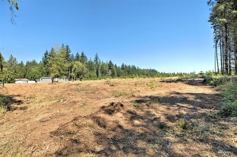 192 Markum Ln, Winlock, WA 98596 photo 34