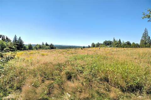 192 Markum Ln, Winlock, WA 98596 photo 35