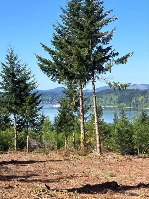 4 E Lone Fir Drive Rd E, Shelton, WA 98584