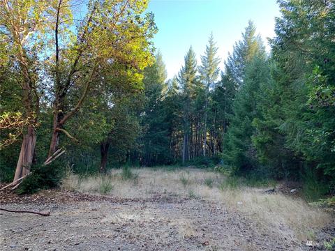 121 E Skyview Dr, Union, WA 98592 photo 1