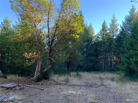 121 E Skyview Dr, Union, WA 98592 photo 2