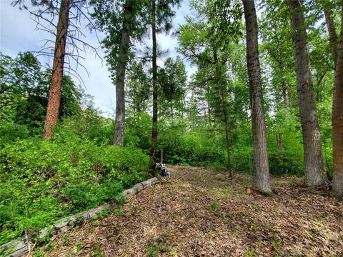 155 Twisp River Rd, Twisp, WA 98856 photo 6