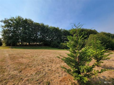 131 Les Saints, Sequim, WA 98382 photo 29