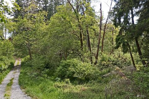 14816 116th St, Anderson Island, WA 98303