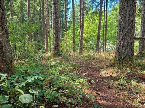 18410 Rampart Ct SE #LT 53, Yelm, WA 98597