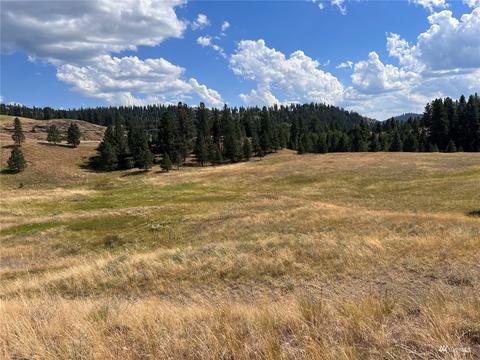0 Lot 27 Curlew Dr, Republic, WA 99166