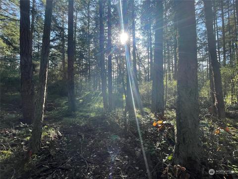 1241 Pavey Blvd, Lopez Island, WA 98261