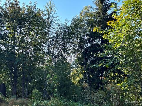 1341 Dosewallips Rd, Brinnon, WA 98320 photo 9