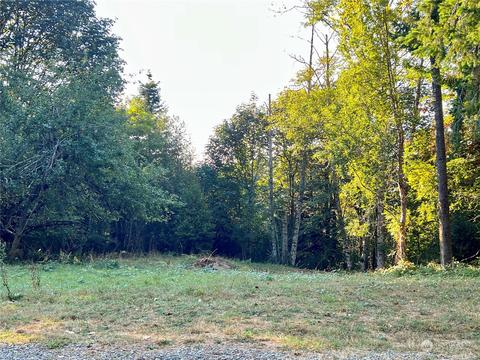 1341 Dosewallips Rd, Brinnon, WA 98320 photo 12