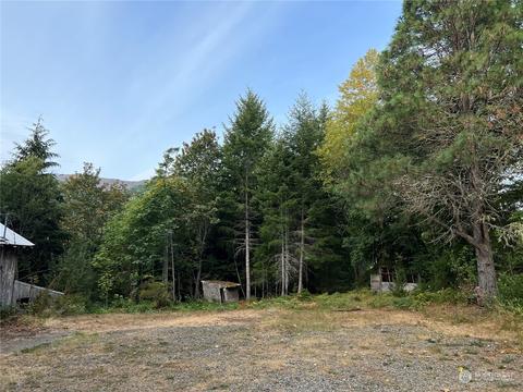 1341 Dosewallips Rd, Brinnon, WA 98320 photo 3