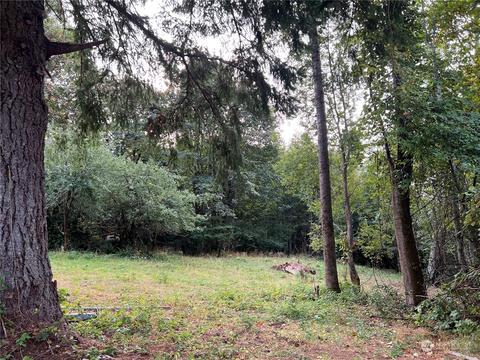 1341 Dosewallips Rd, Brinnon, WA 98320 photo 5