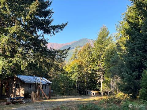 1341 Dosewallips Rd, Brinnon, WA 98320 photo 6