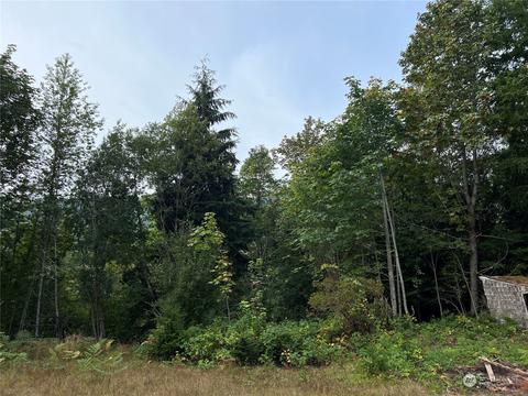 1341 Dosewallips Rd, Brinnon, WA 98320 photo 4
