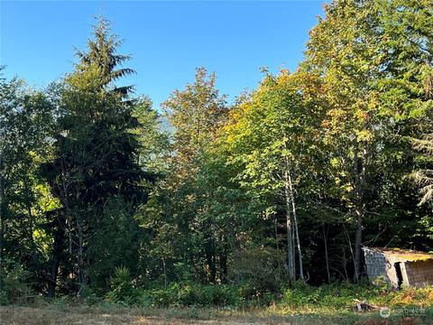 1341 Dosewallips Rd, Brinnon, WA 98320 photo 7
