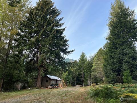 1341 Dosewallips Rd, Brinnon, WA 98320 photo 1