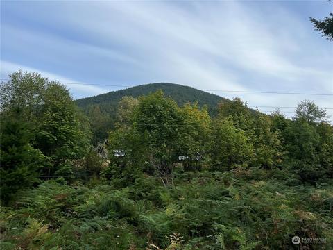 1341 Dosewallips Rd, Brinnon, WA 98320 photo 2