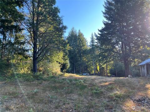 1341 Dosewallips Rd, Brinnon, WA 98320 photo 14