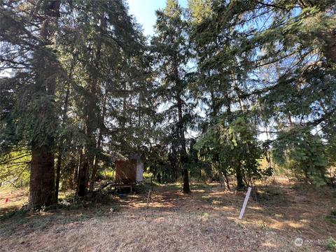 226 Limmer Rd, Winlock, WA 98596 photo 32