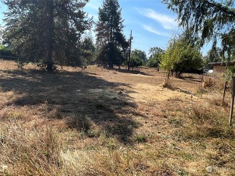 226 Limmer Rd, Winlock, WA 98596 photo 27