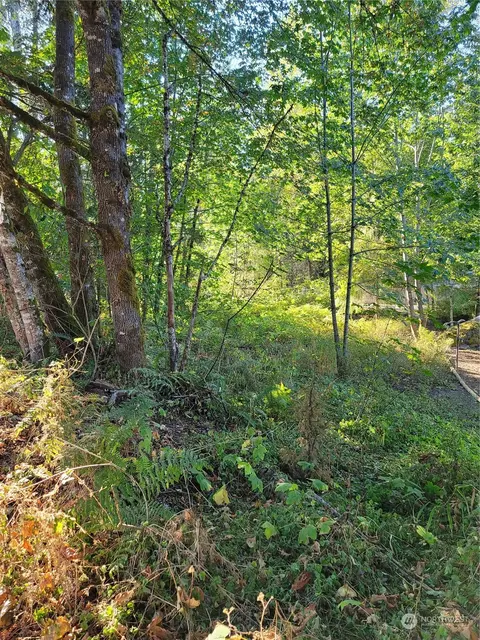 16835 Holly St SE, Yelm, WA 98597
