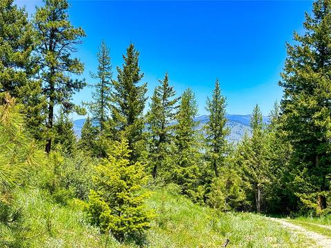 1111 Doe Mountain Rd, Tonasket, WA 98855