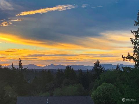16513 107th Pl NE, Bothell, WA 98011 photo 37