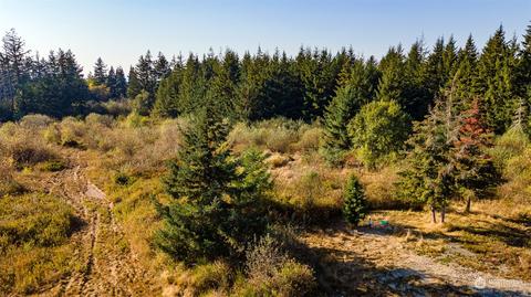 123 Florence Pl, Winlock, WA 98596 photo 3
