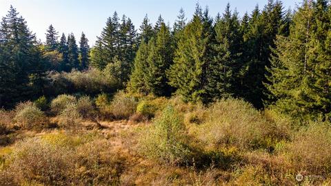 123 Florence Pl, Winlock, WA 98596 photo 4