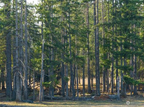 207 Meier Rd, Winlock, WA 98596 photo 22