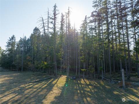 207 Meier Rd, Winlock, WA 98596 photo 10
