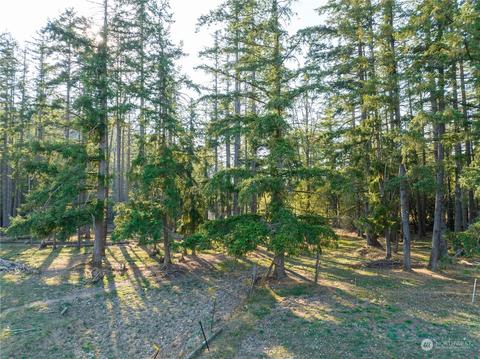 207 Meier Rd, Winlock, WA 98596 photo 13