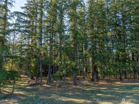 207 Meier Rd, Winlock, WA 98596 photo 12
