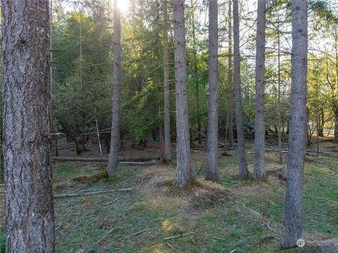207 Meier Rd, Winlock, WA 98596 photo 16
