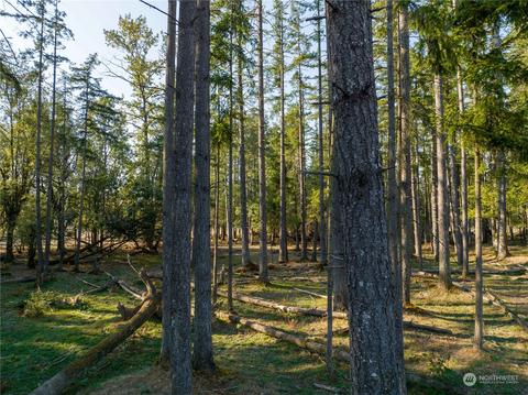 207 Meier Rd, Winlock, WA 98596 photo 15