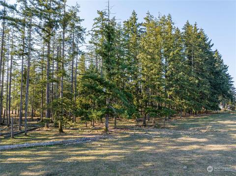 207 Meier Rd, Winlock, WA 98596 photo 11