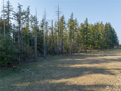 207 Meier Rd, Winlock, WA 98596 photo 2