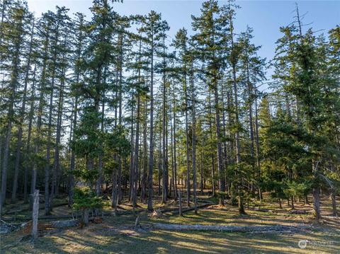 207 Meier Rd, Winlock, WA 98596 photo 9