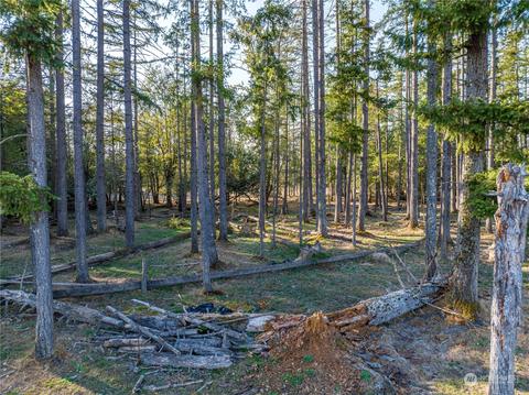 207 Meier Rd, Winlock, WA 98596 photo 17