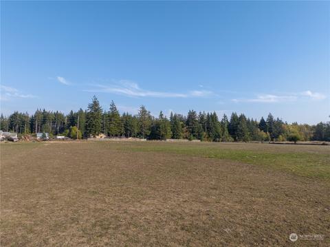 207 Meier Rd, Winlock, WA 98596 photo 14