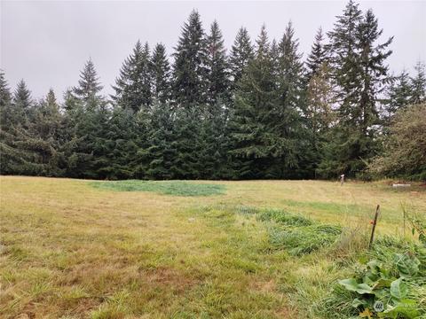 126 Reinseth Rd, Winlock, WA 98596 photo 33