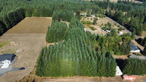 424 Brown Rd E, Chehalis, WA 98532 photo 4