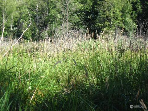 3009 144th St SE, Mill Creek, WA 98012 photo 29