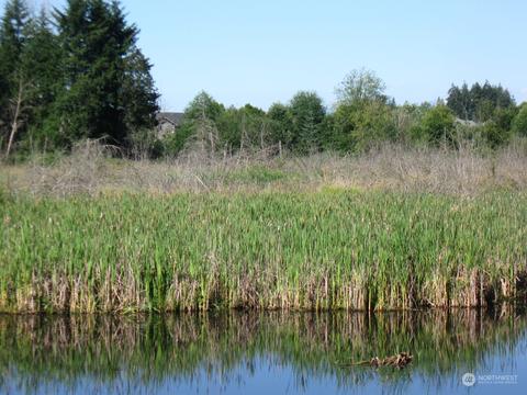 3009 144th St SE, Mill Creek, WA 98012 photo 31