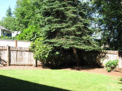 3009 144th St SE, Mill Creek, WA 98012 photo 23