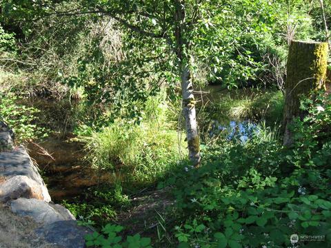 3009 144th St SE, Mill Creek, WA 98012 photo 33