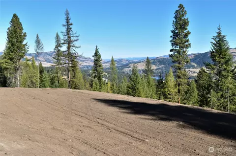 4 Lake View Dr, Republic, WA 99166