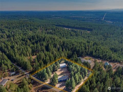 30 E Mooreview Ln E, Shelton, WA 98584 photo 39